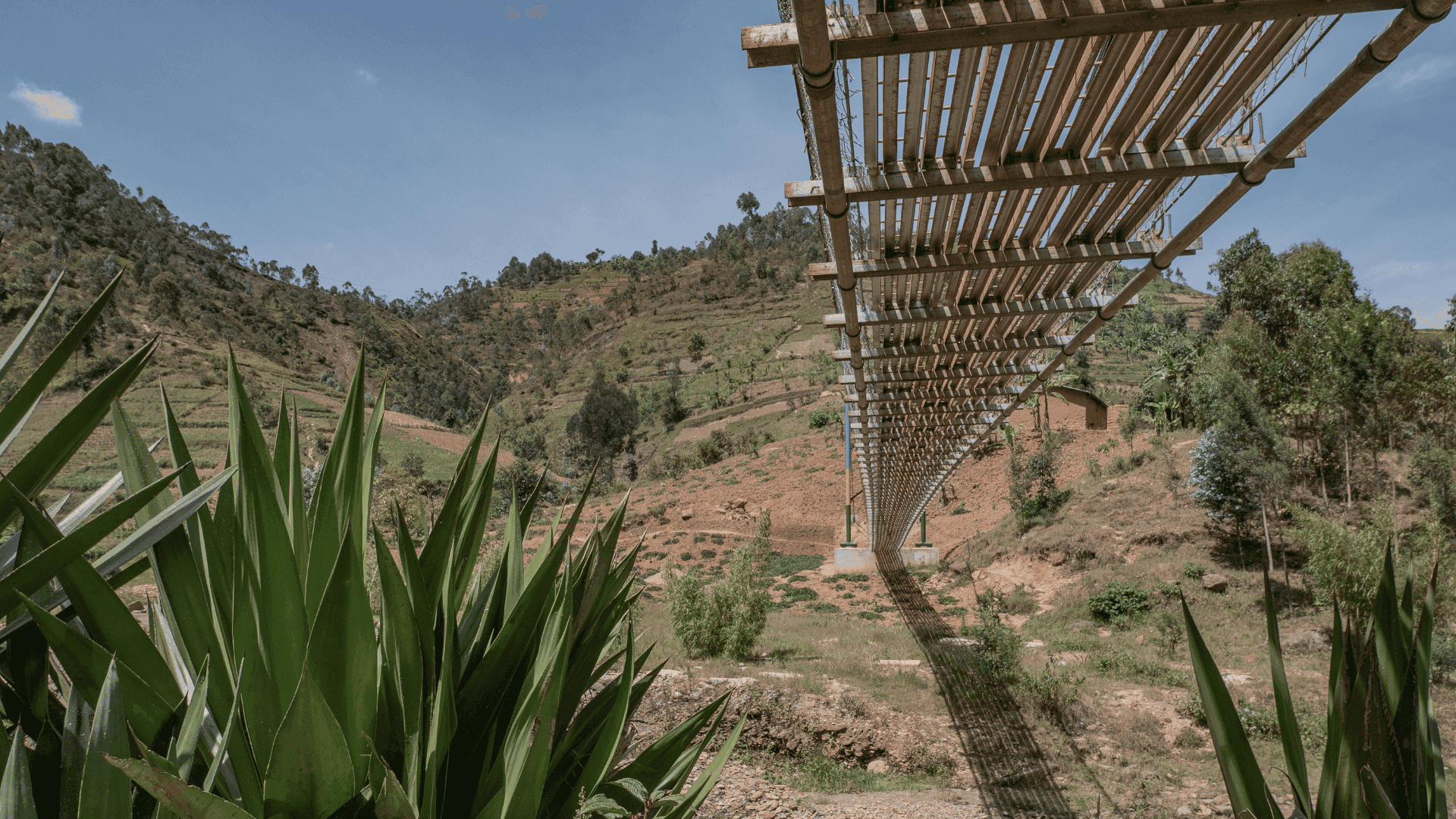 missing alt for featured image