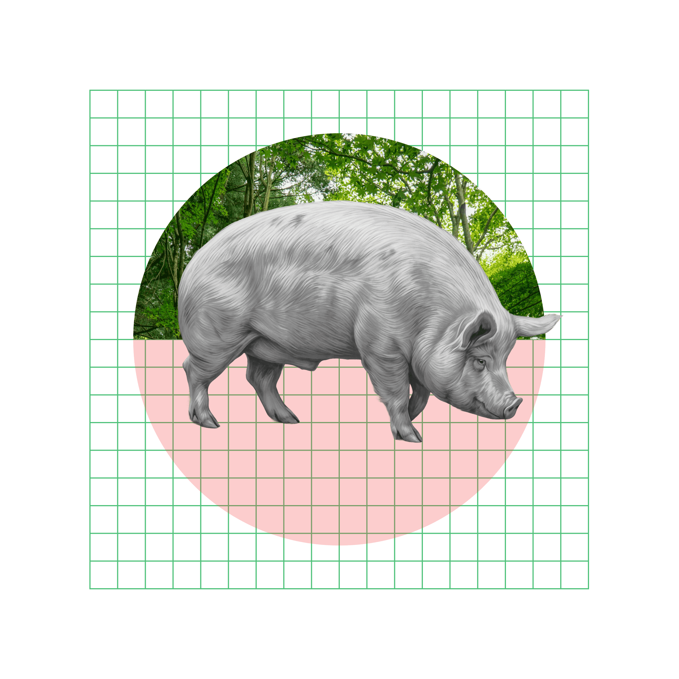 Fund card thumbnail