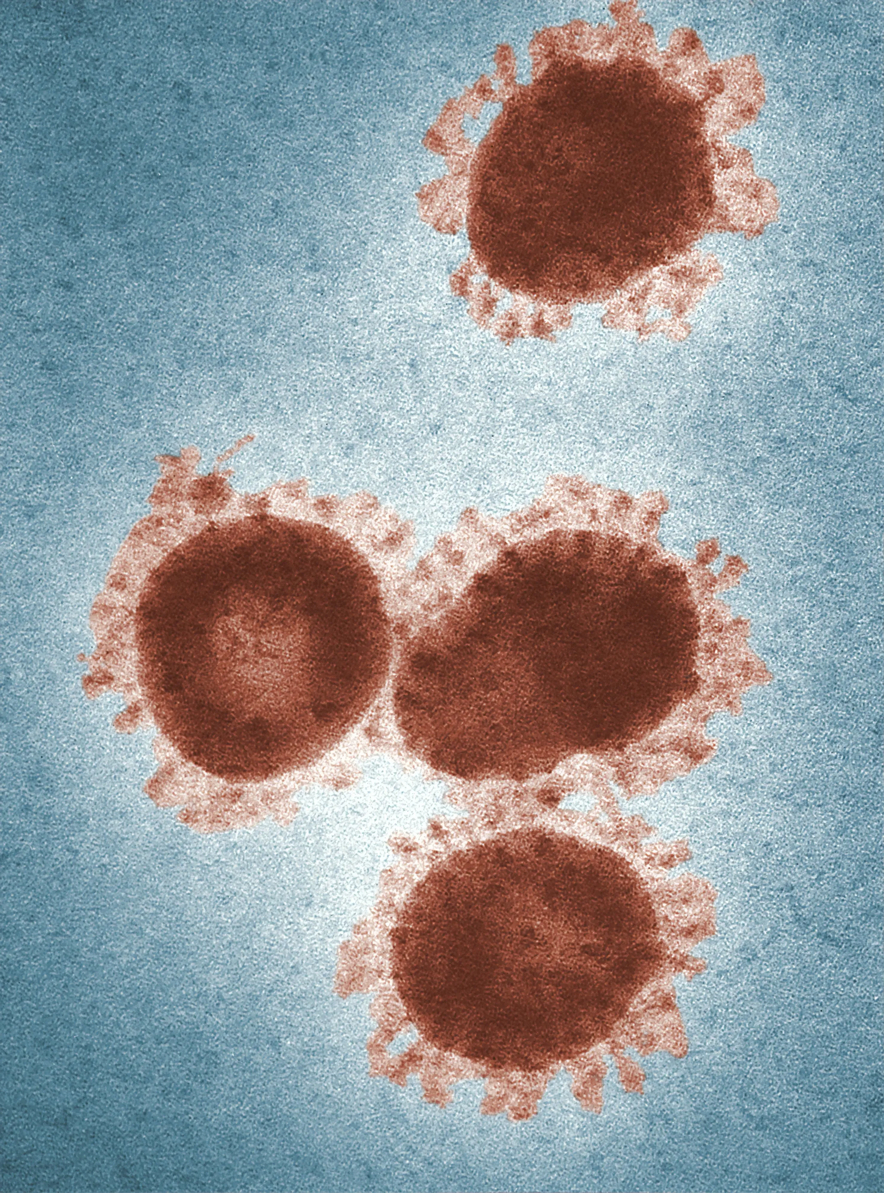 Illustrative image