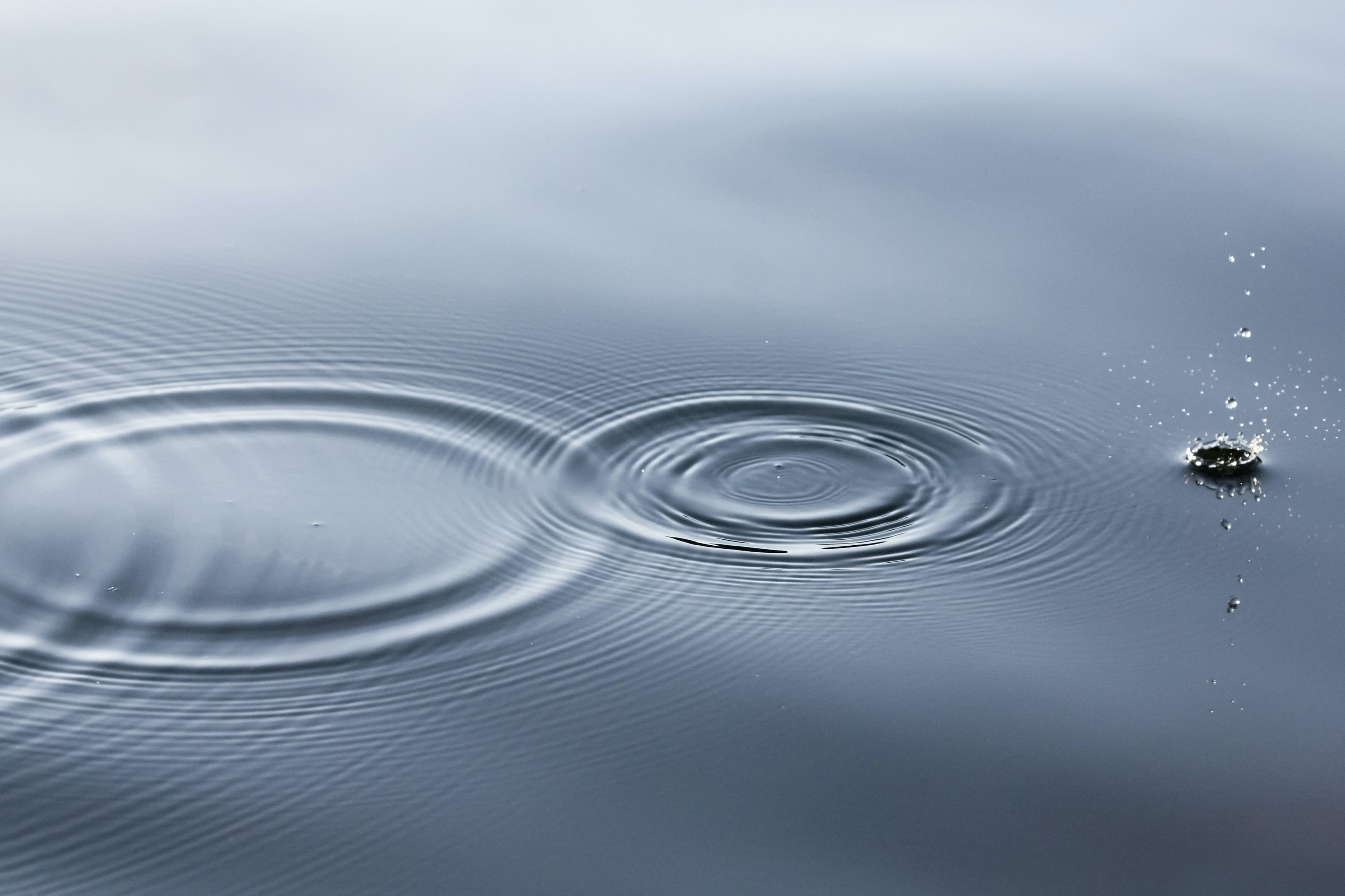 Pebble ripples in water