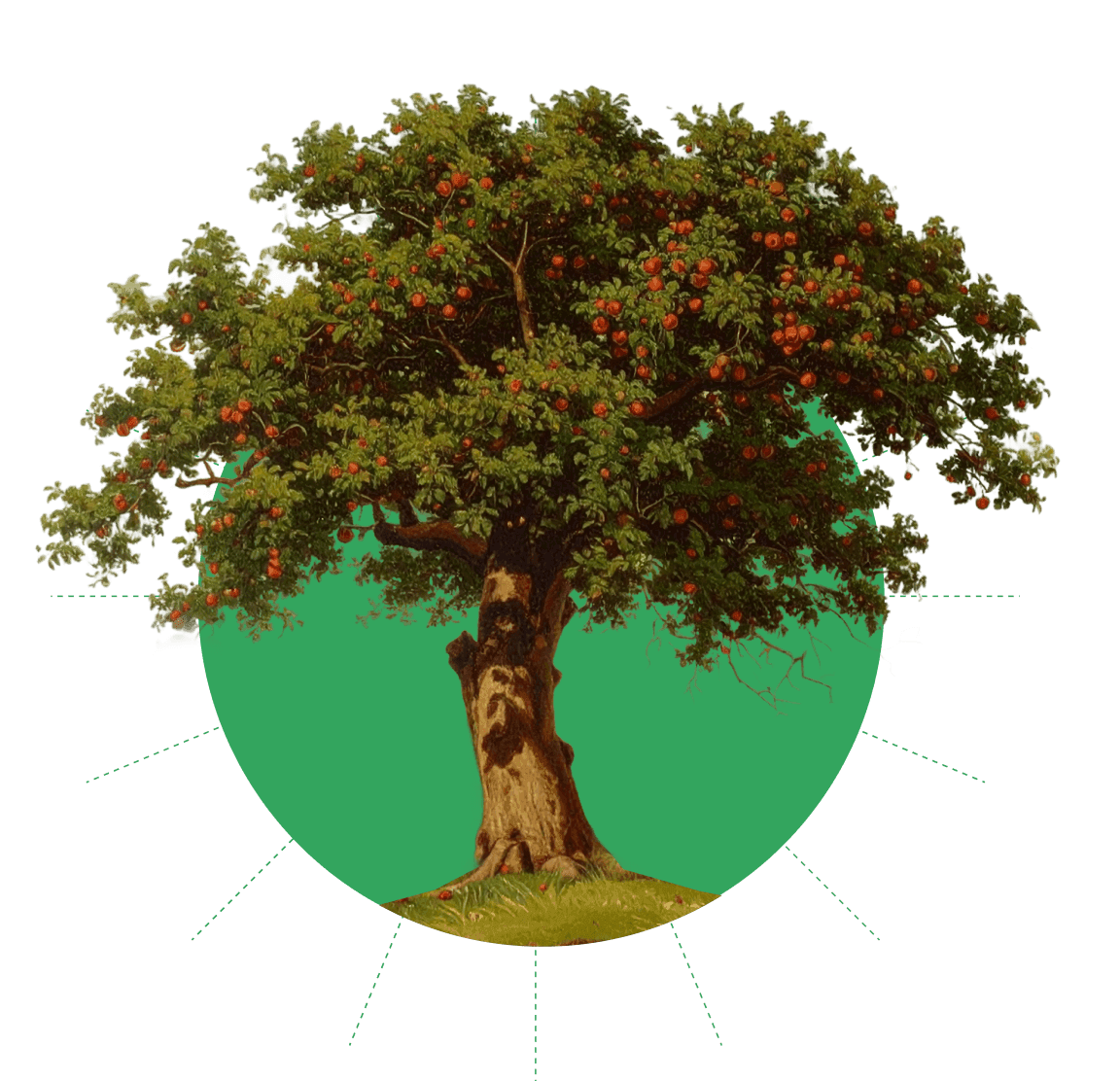 Illustrative image